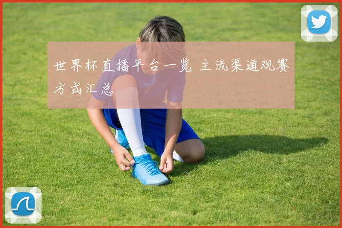 世界杯直播平台一览 主流渠道观赛方式汇总