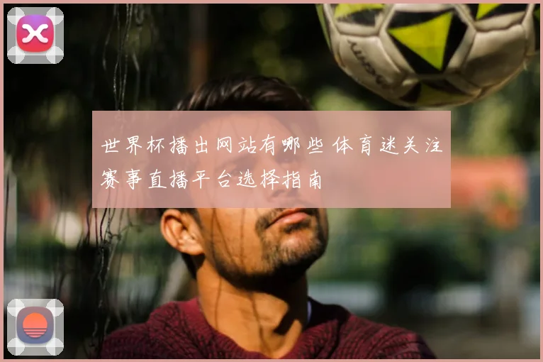世界杯播出网站有哪些 体育迷关注赛事直播平台选择指南