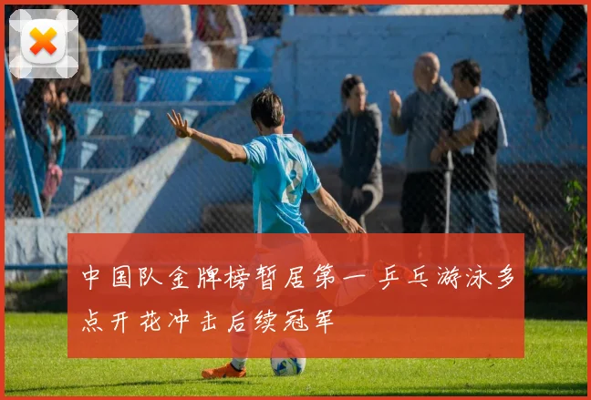 中国队金牌榜暂居第一 乒乓游泳多点开花冲击后续冠军