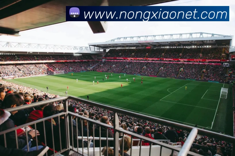 kaiyun登录入口网址平台生态图