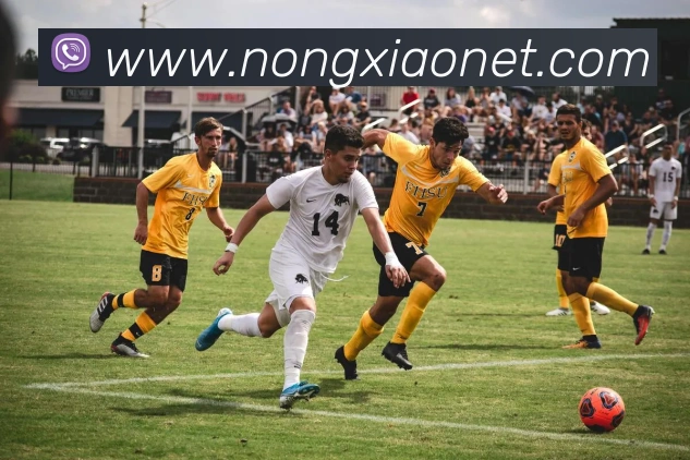 kaiyun登录入口网址APP 封面图